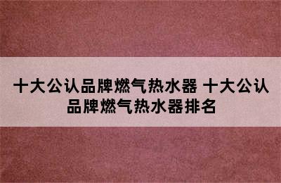 十大公认品牌燃气热水器 十大公认品牌燃气热水器排名